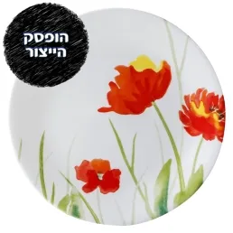 מנה ראשונה 21.5 ס"מ, Kalypso