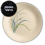 צלחות Corelle קורנינג - דגמי עבר