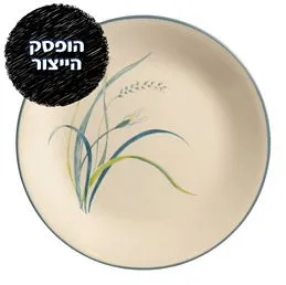 מנה עיקרית 26 ס''מ, Coastal Breeze