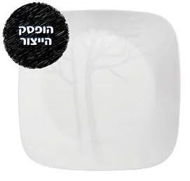מנה ראשונה 23 ס"מ, Frost Square