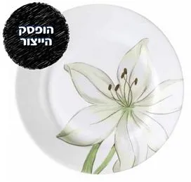 מנה ראשונה 23 ס"מ, White Flower