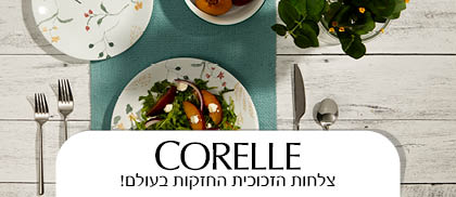 צלחות הזכוכית החזקות בעולם! 13
