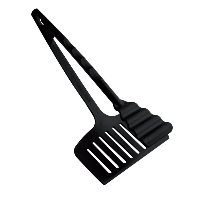 תרווד דגים 13