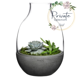 אגרטל חממה Eden