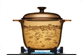 סיר זכוכית גבוה 3.5 ל' + מכסה, Visions