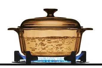 סיר זכוכית רחב 3.5 ל' + מכסה, Visions